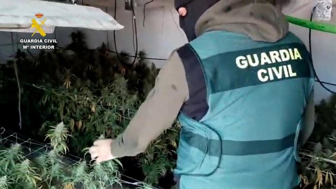 Agente de la Guardia Civil en una plantación en La Rinconada (Sevilla)