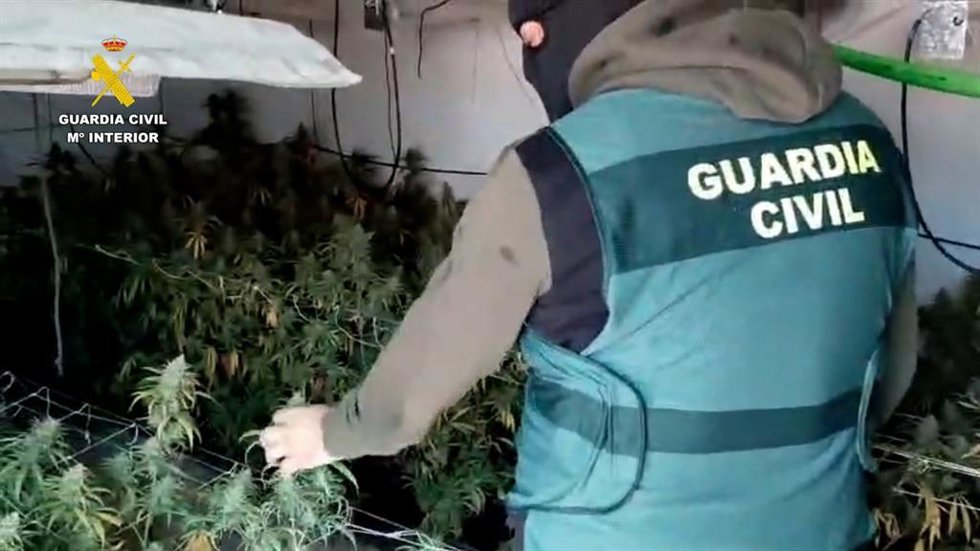 Agente de la Guardia Civil en una plantación en La Rinconada (Sevilla)