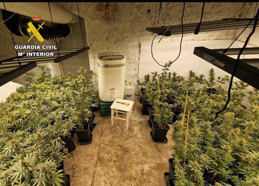Invernadero intensivo de marihuana instalado en una vivienda usurpada