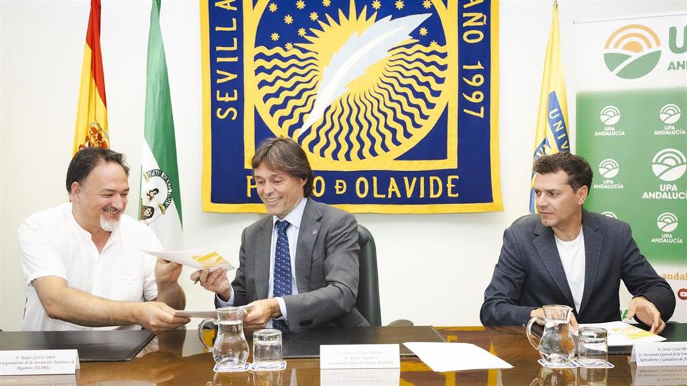 El secretario general de UPA Andalucía, el rector de la UPO y el vicepresidente de Asare, tras la presentación de la nueva cátedra para la defensa de la agricultura familiar