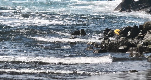 Islas Canarias