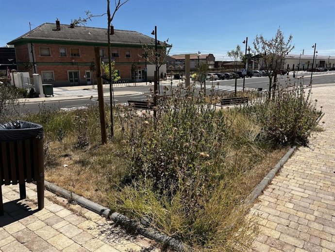 El PSOE critica "el abandono de los jardines de la estación intermodal de Calahorra"