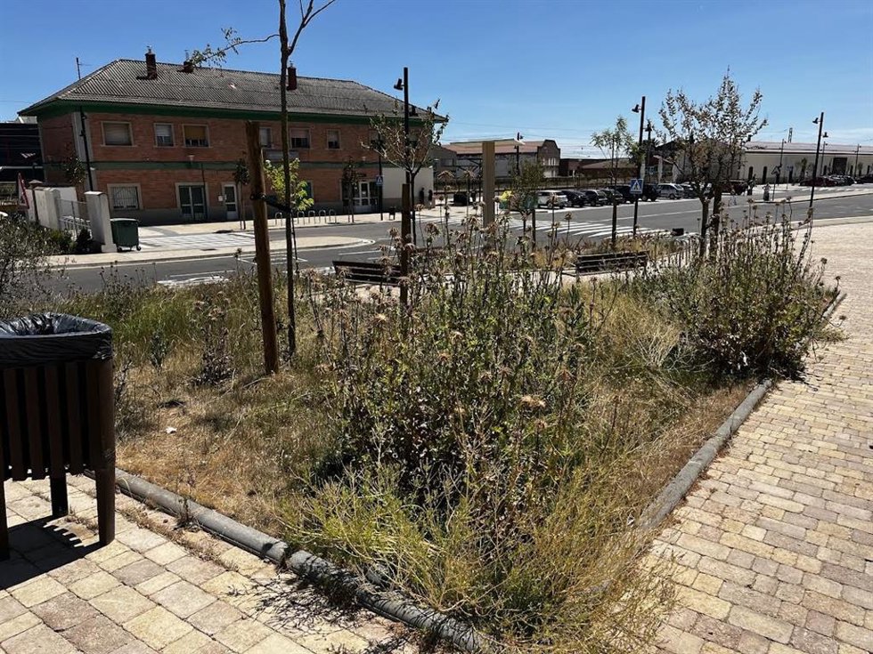 El PSOE critica "el abandono de los jardines de la estación intermodal de Calahorra"