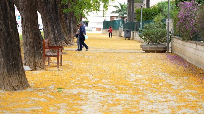 Acumulación de flores en una calle de Murcia