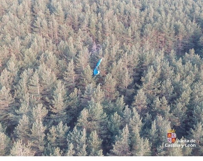 Vista del paracaídas de la parapentista que quedó colgada de un árbol en Ardones (Segovia).