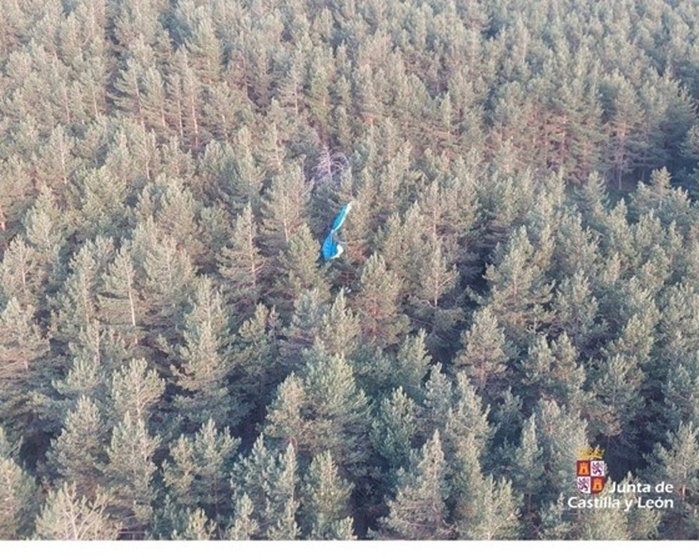 Vista del paracaídas de la parapentista que quedó colgada de un árbol en Ardones (Segovia).
