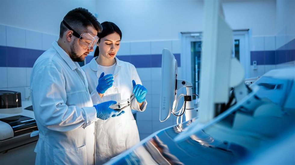Investigadores