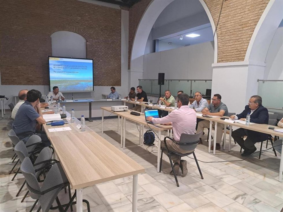 Junta de Explotación de la Masa de Agua Subterránea La Rocina.