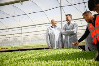 Archivo - Exportación agrícola
