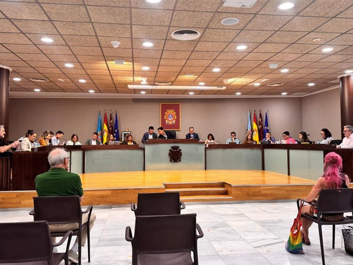 Pleno del Ayuntamiento de San Javier
