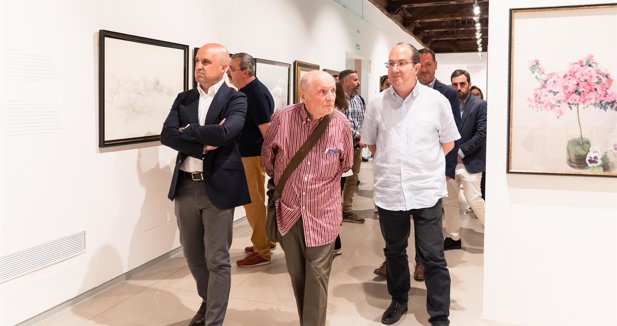 Diputación de Almería