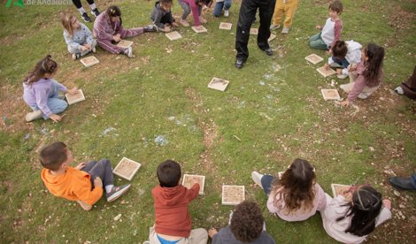 Educación