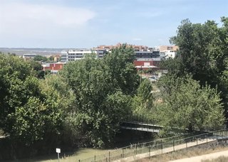 Canal Imperial, árboles y viviendas al fondo
