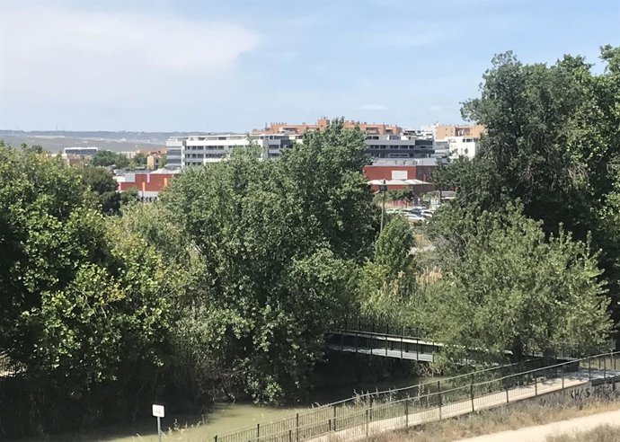 Canal Imperial, árboles y viviendas al fondo