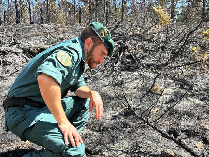 Un agente de la Guardia Civil inspecciona un terreno calcinado.