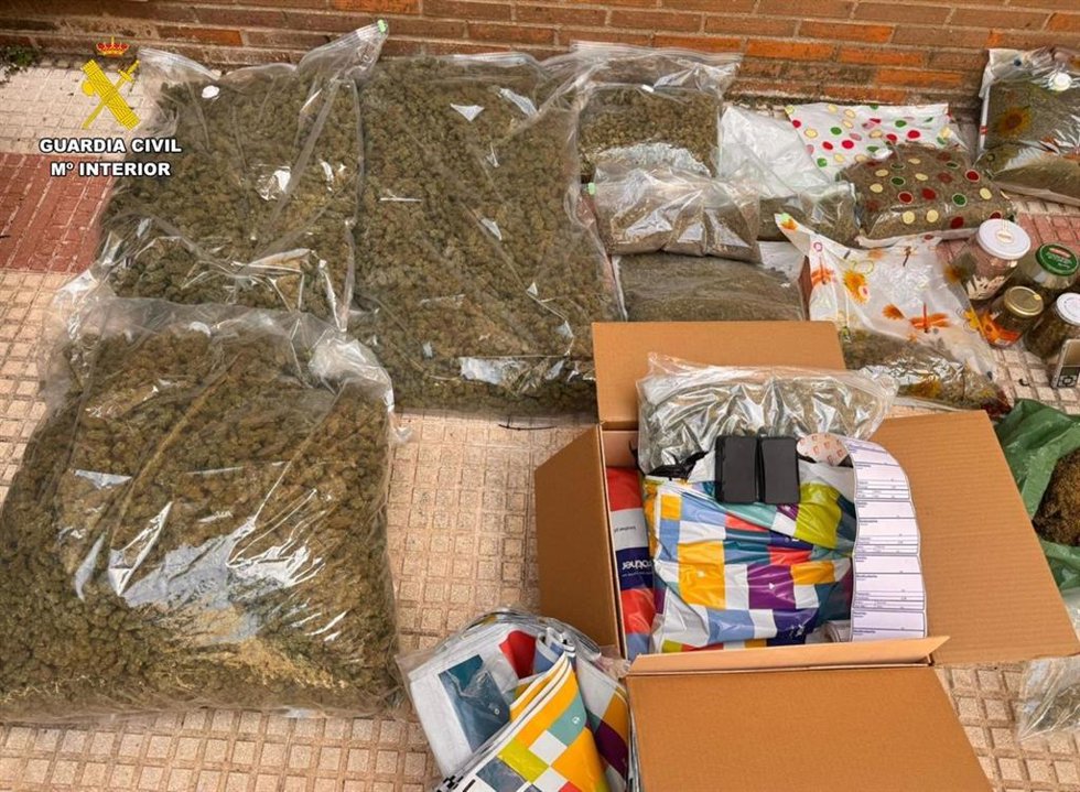 Cae una infraestructura estable dedicada al cultivo y distribución de marihuana en El Pozo de Guadalajara