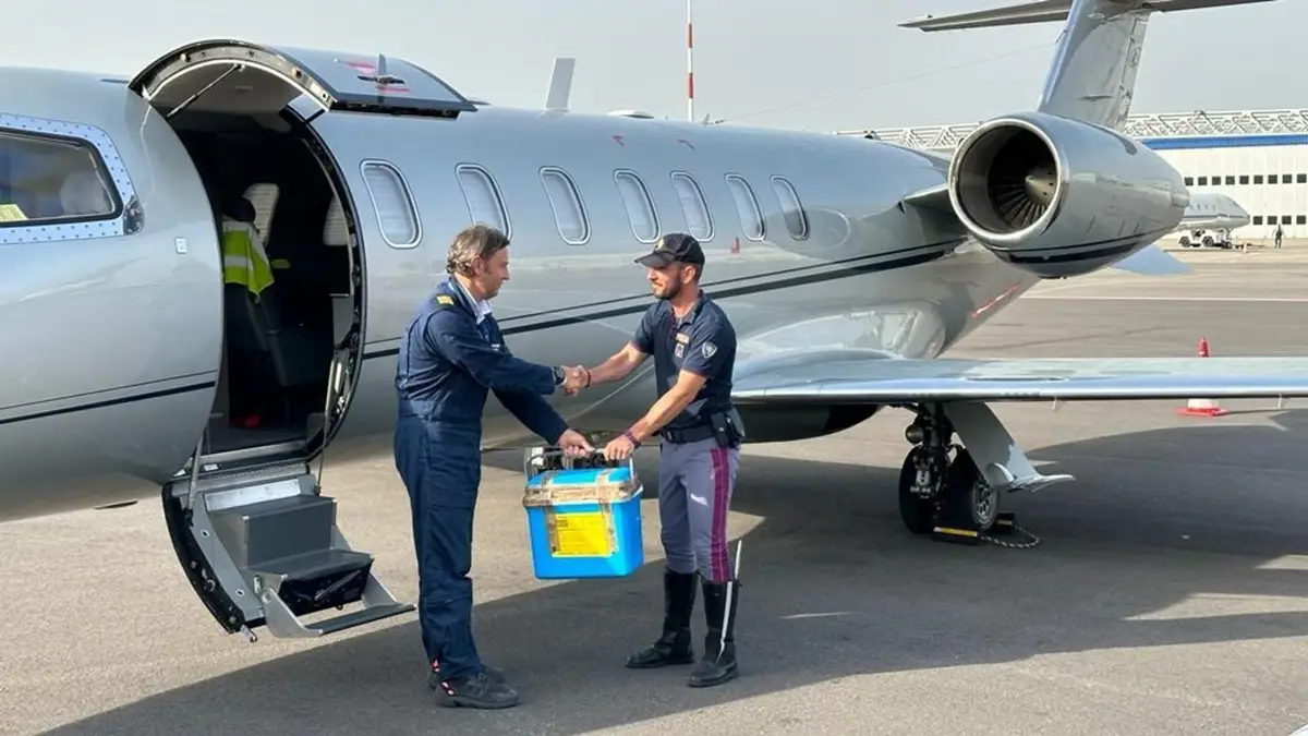 Archivo - La ONT trasladó en 2025 un total de 1.045 órganos para trasplante por vía aérea, 114 menos que en 2024