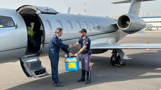 Archivo - La ONT trasladó en 2025 un total de 1.045 órganos para trasplante por vía aérea, 114 menos que en 2024 
