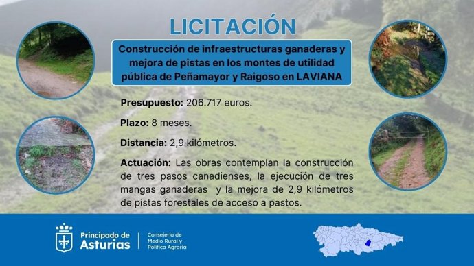 Medio Rural saca a licitación por 206.000 euros la construcción de infraestructuras ganaderas y la mejora de 2,9 kilómetros de pistas en los montes de Peñamayor y Raigoso, en Laviana