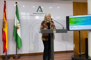 Archivo - La delegada de la Junta de Andalucía en Cádiz, Mercedes Colombo, en rueda de prensa. Imagen de archivo