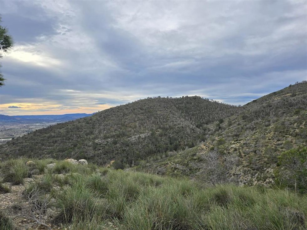 Sierra del Lugar, en el municipio de Fortuna.