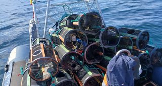 Pesca Galicia