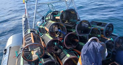 Pesca Galicia