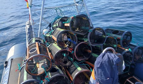Pesca Galicia