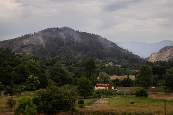 Columnas de humo durante las labores de extinción de un incendio forestal, a 14 de junio de 2026, en Grado, Asturias (España).