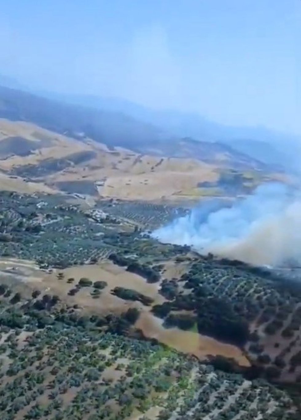 Incendio forestal declarado en Antequera