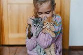 Foto: Ni más asma ni más alergias: lo que realmente ocurre cuando los niños viven con gatos