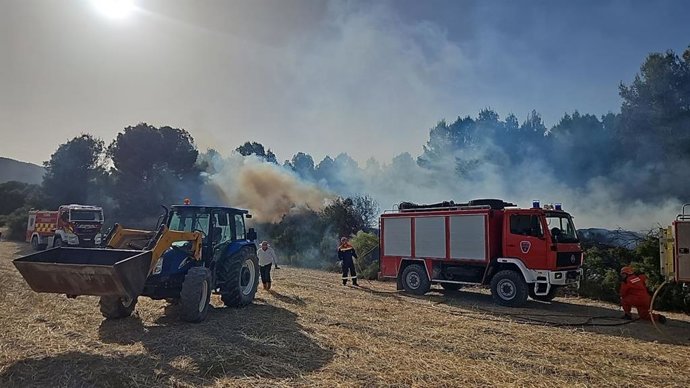 Foto dos membros do Plano Infomur na área do incêndio
