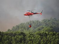 Extinguido el incendio forestal del paraje El Moralejo de Almonte (Huelva)