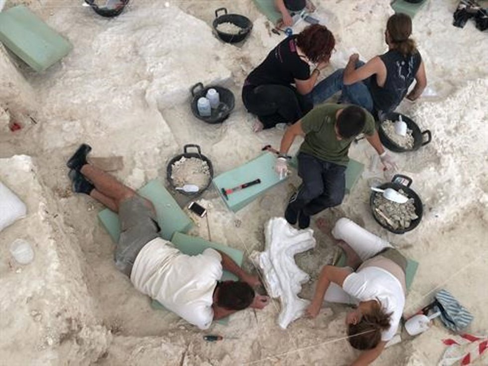 Archivo - Excavaciones en Orce.