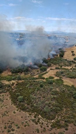 Incendio forestal declarado en Pozuelo de Zarzón (Cáceres), a 14 de junio de 2026.