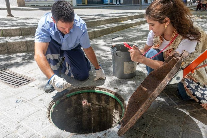Servicio municipal de control de plagas en Cádiz.