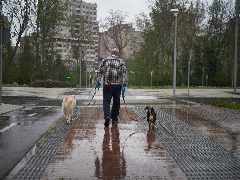 Archivo - Una persona mayor pasea a sus perros.