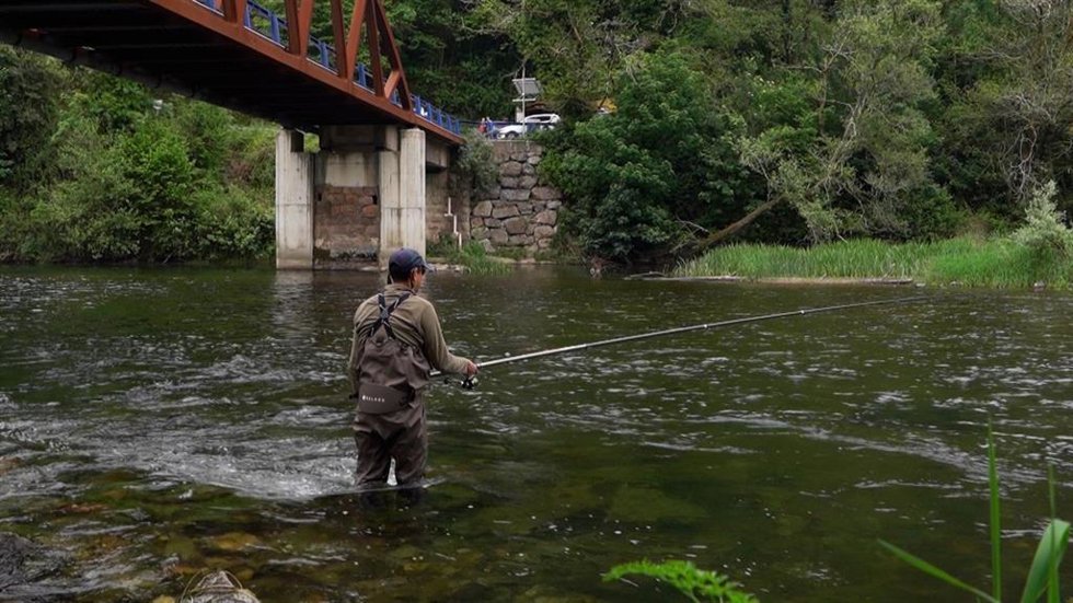 El programa 'El escarabajo verde' viaja a Asturias para abordar la situación del salmón atlántico