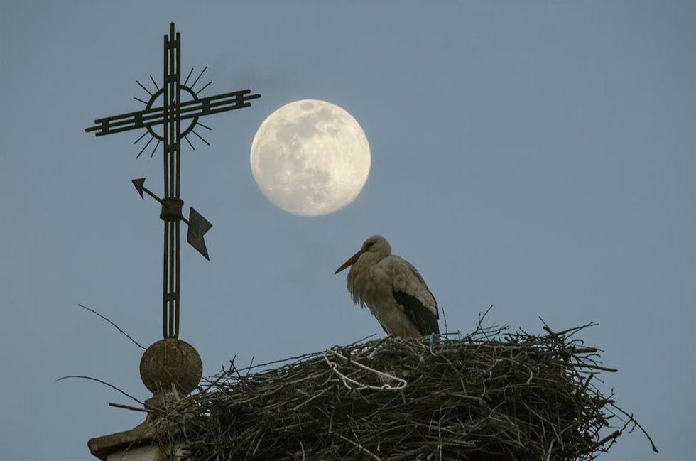 Nueva edición del Concurso fotográfico de Turismo de naturaleza 'Ciudad de Calahorra'