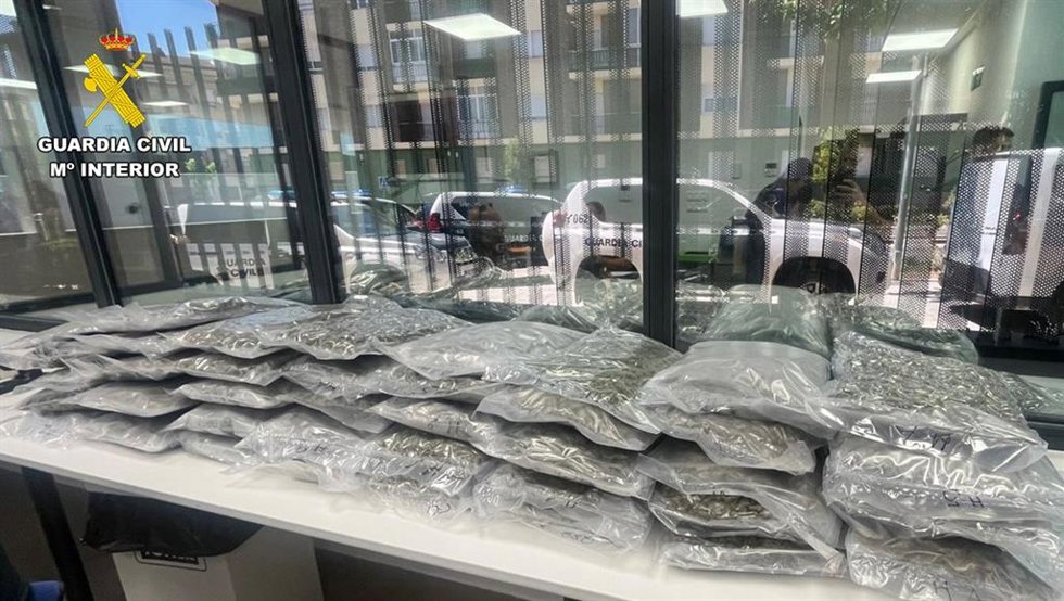 Operativo antidroga en Caudete.