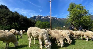 Catalunya