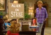 Foto: Muere Anne Schedeen, la madre de ALF, a los 77 años
