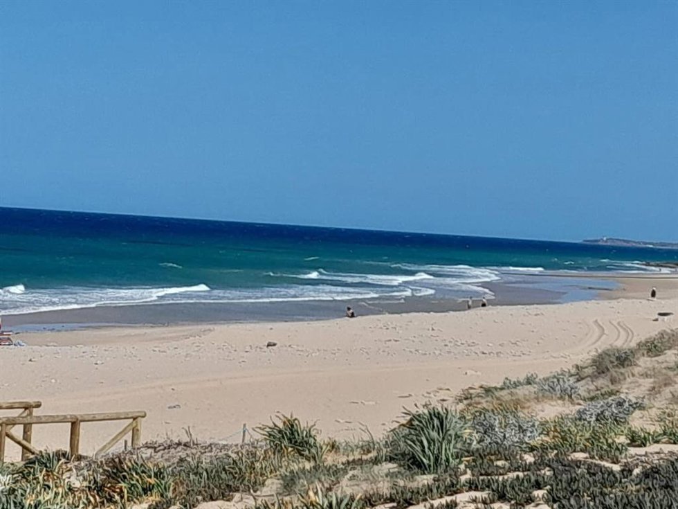 Vista de la playa del Palmar en Vejer de la Frontera (Cádiz)