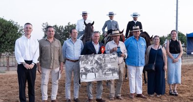 Diputación de Sevilla