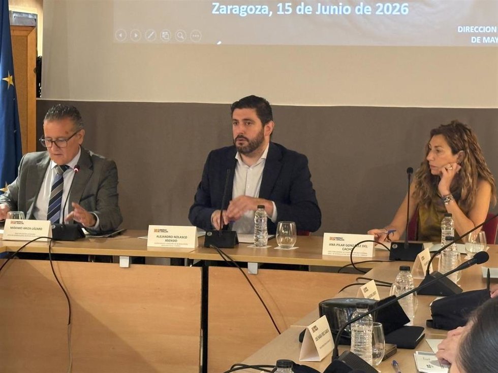 El vicepresidente y consejero de Bienestar Social del Gobierno de Aragón, Alejandro Nolasco, ha presidido la Mesa Técnica de Prevención del Maltrato a Personas Mayores.
