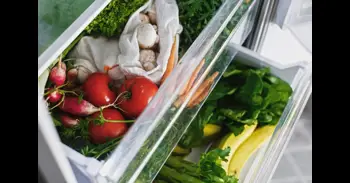 Tecnología NoFrost: optimización del consumo energético en la conservación alimentaria