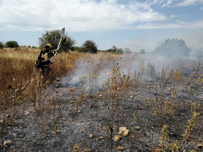 Medios aéreos y terrestres combaten un incendio agrícola en Santanyí