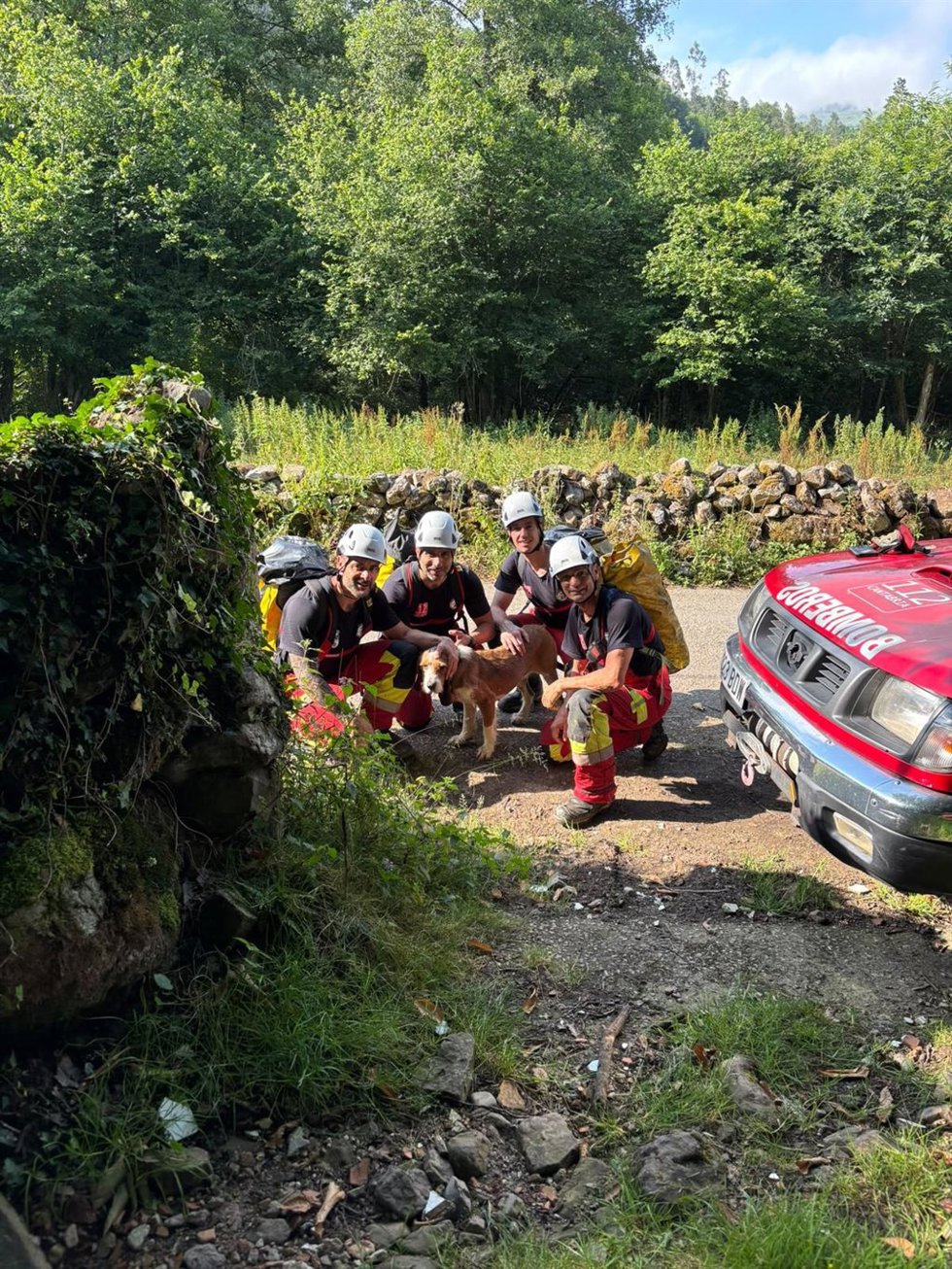 Bomberos rescatan una perra caída en una sima en Cieza