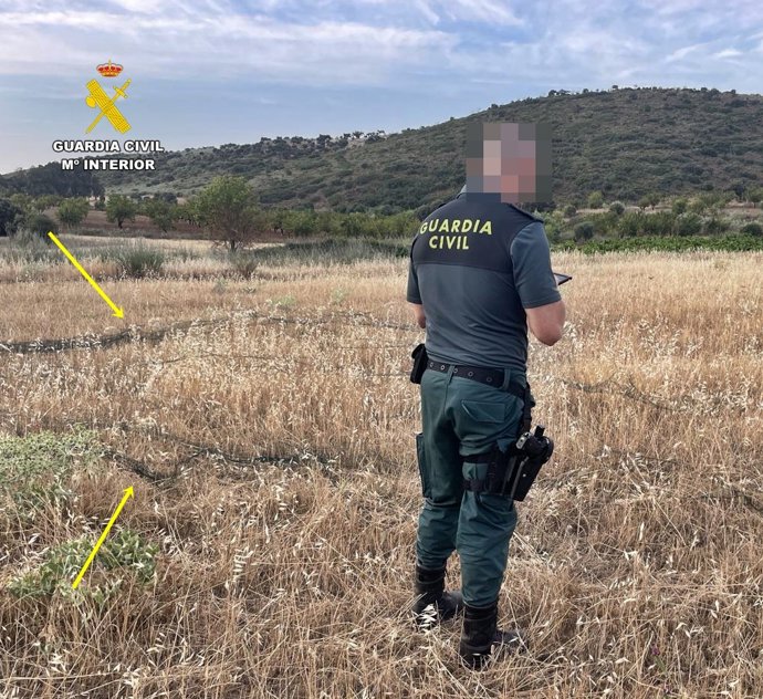 La Guardia Civil sorprende a cazadores furtivos en Fuente del Maestre (Badajoz)