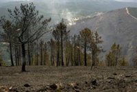 Estabilizado el incendio forestal de Boborás (Ourense), que quema ya 250 hectáreas